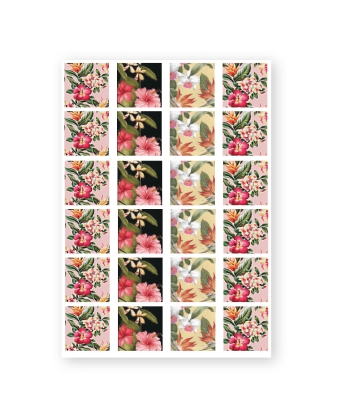 Baroque Stickers Tropical